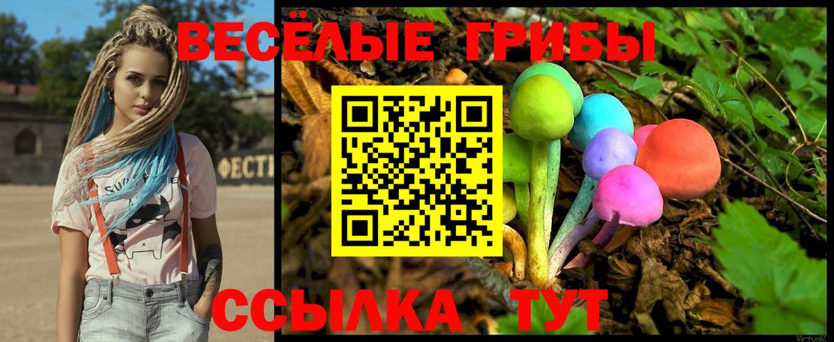 Псилоцибиновые грибы Psilocybe  Псилоцибиновые грибы Magic Shrooms  Вход с VPN  Вичуга 